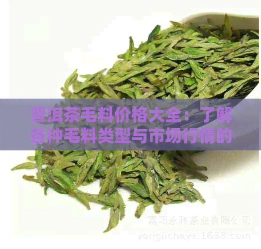 普洱茶毛料价格大全：了解各种毛料类型与市场行情的全方位指南