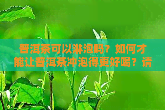 普洱茶可以淋泡吗？如何才能让普洱茶冲泡得更好喝？请分享您的泡茶经验。