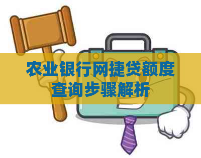 农业银行网捷贷额度查询步骤解析