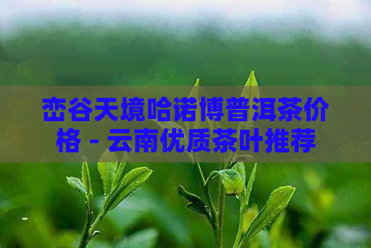 峦谷天境哈诺博普洱茶价格 - 云南优质茶叶推荐