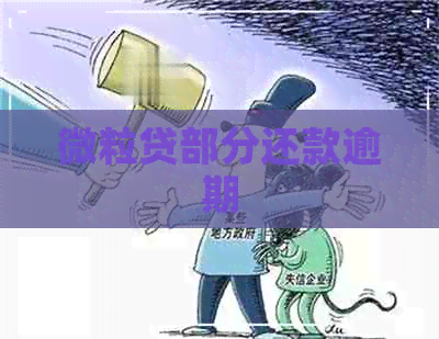 微粒贷部分还款逾期