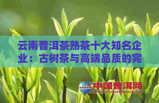 云南普洱茶熟茶十大知名企业：古树茶与高端品质的完美结合