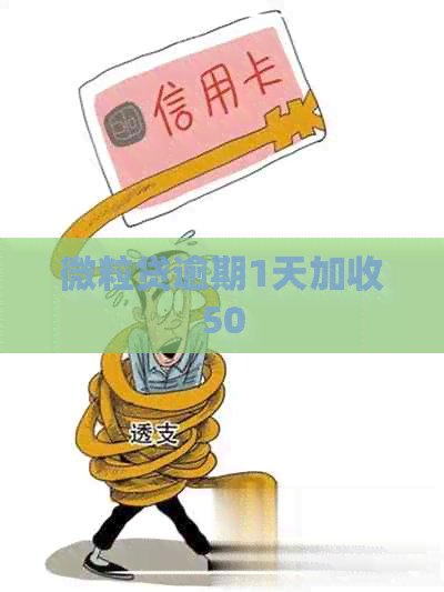 微粒贷逾期1天加收50