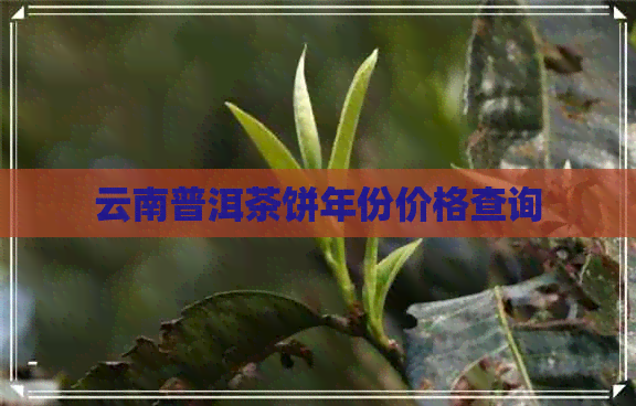 云南普洱茶饼年份价格查询