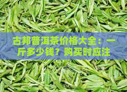 古邦普洱茶价格大全：一斤多少钱？购买时应注意哪些因素？