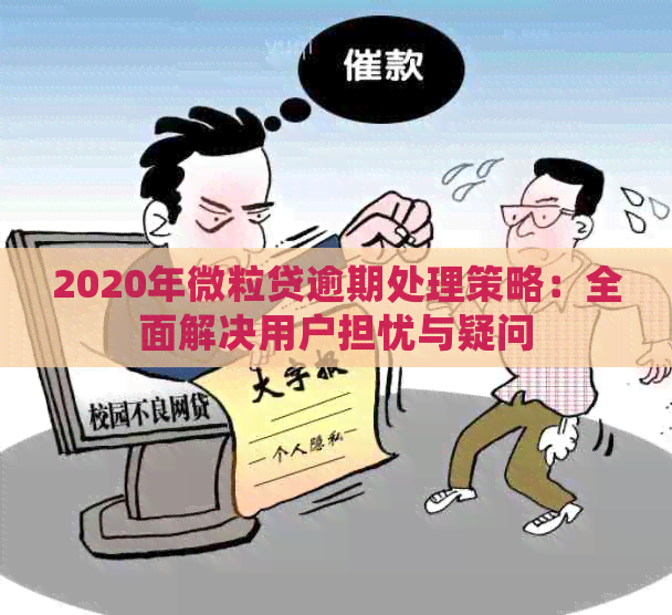 2020年微粒贷逾期处理策略：全面解决用户担忧与疑问