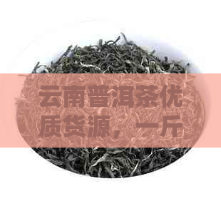 云南普洱茶优质货源，一斤报价多少钱？生茶批发采购