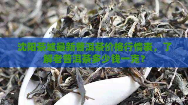 沈阳茶城最新普洱茶价格行情表，了解老普洱茶多少钱一克？