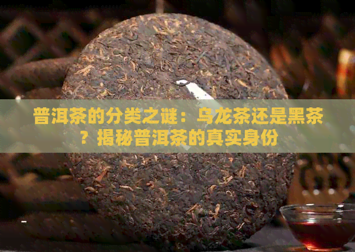 普洱茶的分类之谜：乌龙茶还是黑茶？揭秘普洱茶的真实身份