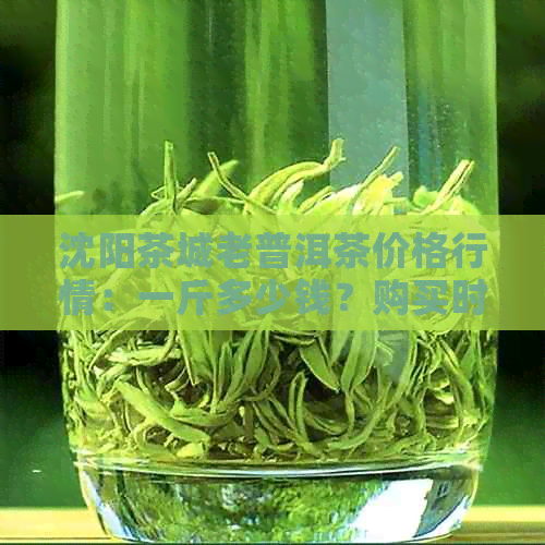 沈阳茶城老普洱茶价格行情：一斤多少钱？购买时应考虑哪些因素？