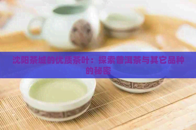 沈阳茶城的优质茶叶：探索普洱茶与其它品种的秘密