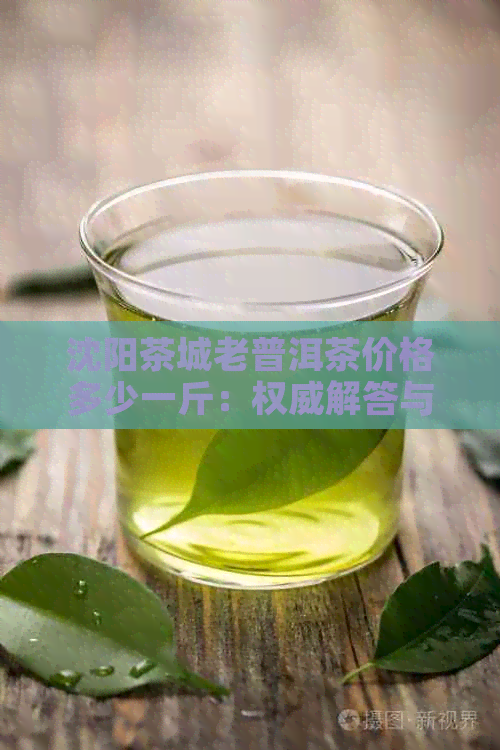 沈阳茶城老普洱茶价格多少一斤：权威解答与市场行情