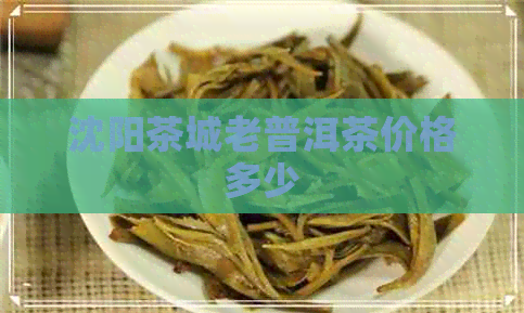 沈阳茶城老普洱茶价格多少