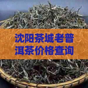 沈阳茶城老普洱茶价格查询最新信息