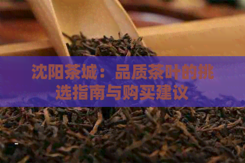 沈阳茶城：品质茶叶的挑选指南与购买建议