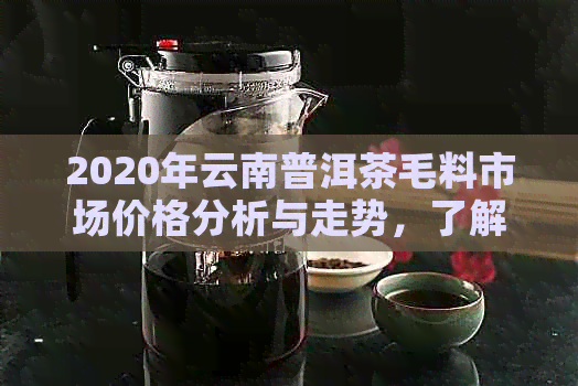 2020年云南普洱茶毛料市场价格分析与走势，了解购买的时机和途径