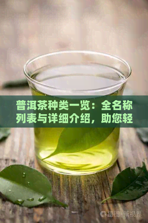 普洱茶种类一览：全名称列表与详细介绍，助您轻松辨别与选择