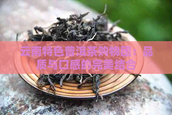 云南特色普洱茶购物团：品质与口感的完美结合