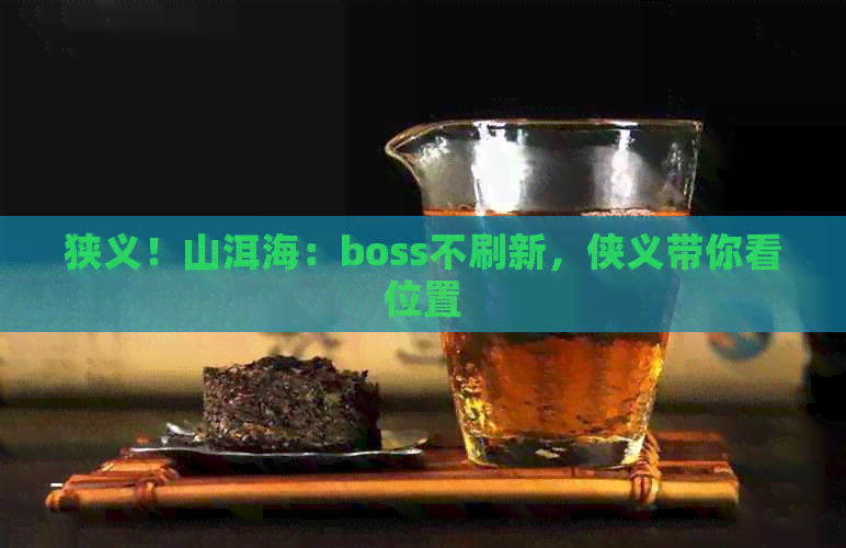 狭义！山洱海：boss不刷新，侠义带你看位置