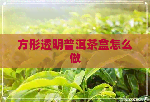 方形透明普洱茶盒怎么做