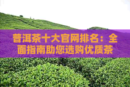 普洱茶十大官网排名：全面指南助您选购优质茶叶，了解背景与口碑