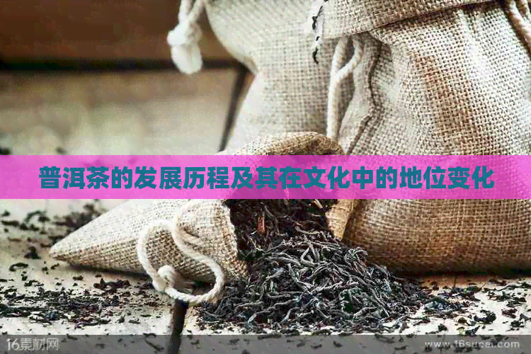 普洱茶的发展历程及其在文化中的地位变化