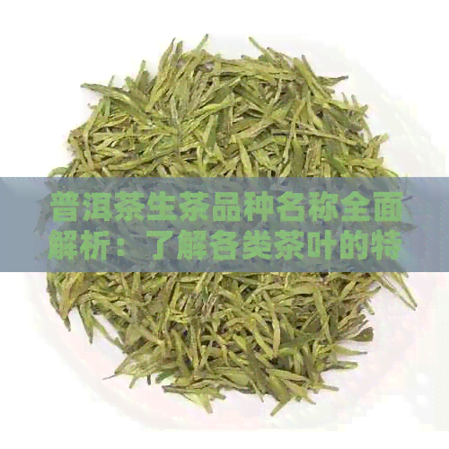 普洱茶生茶品种名称全面解析：了解各类茶叶的特点与区别