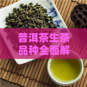 普洱茶生茶品种全面解析：哪几个品种的好？区别在哪里？有哪些品种？