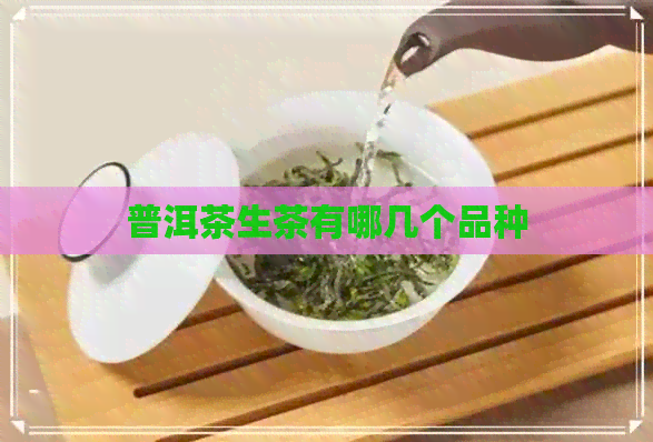 普洱茶生茶有哪几个品种