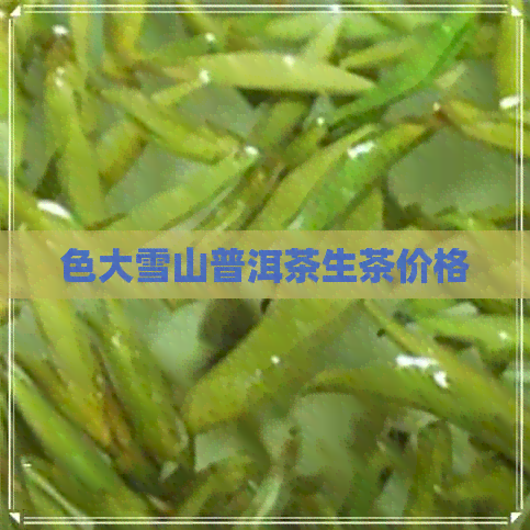 色大雪山普洱茶生茶价格