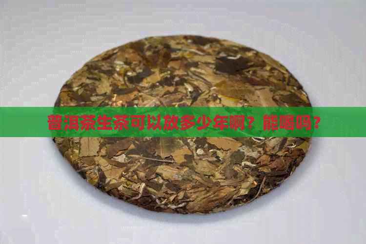 普洱茶生茶可以放多少年啊？能喝吗？