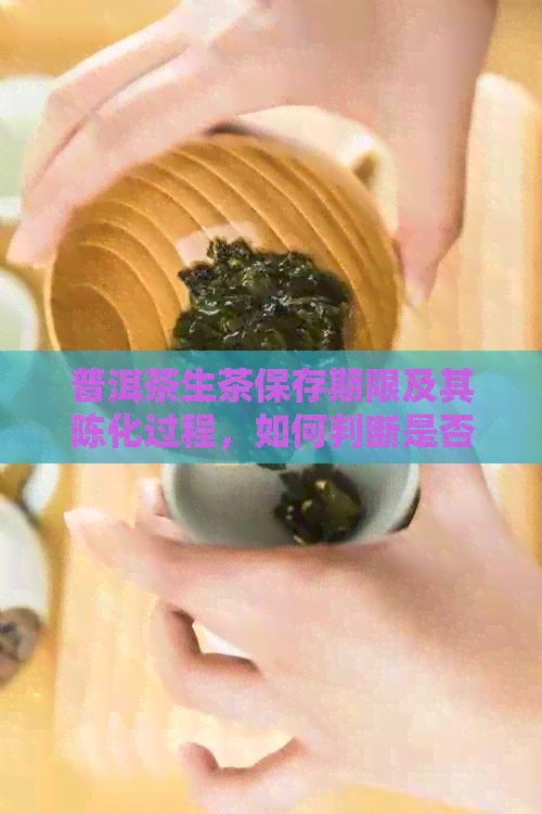 普洱茶生茶保存期限及其陈化过程，如何判断是否可喝？