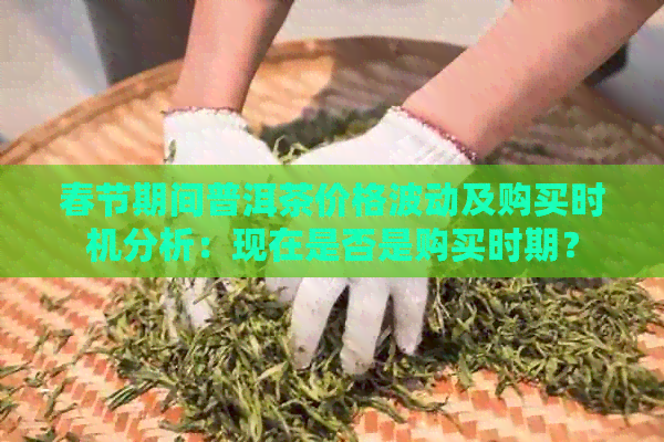 春节期间普洱茶价格波动及购买时机分析：现在是否是购买时期？