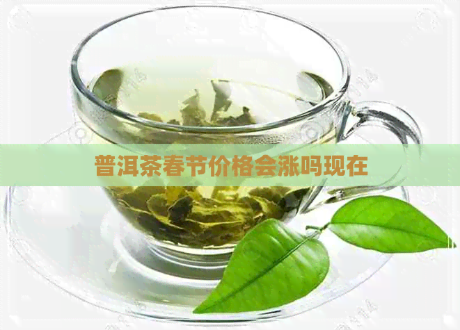 普洱茶春节价格会涨吗现在