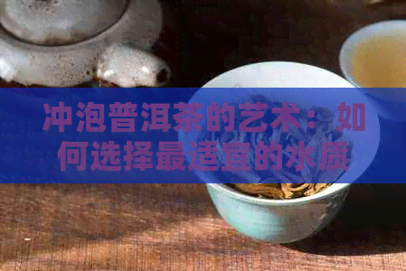 冲泡普洱茶的艺术：如何选择最适宜的水质