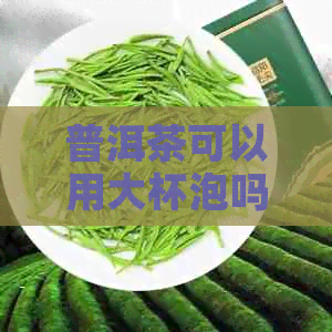 普洱茶可以用大杯泡吗？为什么？