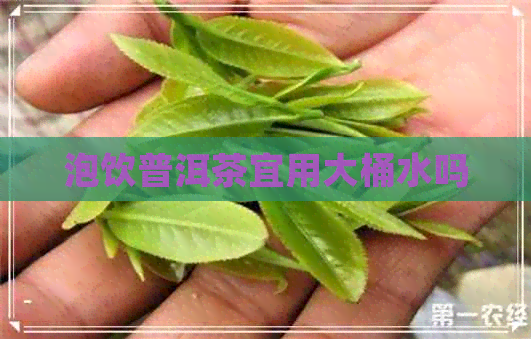 泡饮普洱茶宜用大桶水吗