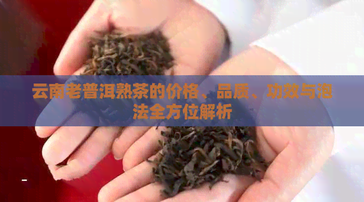 云南老普洱熟茶的价格、品质、功效与泡法全方位解析