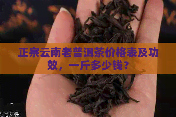 正宗云南老普洱茶价格表及功效，一斤多少钱？