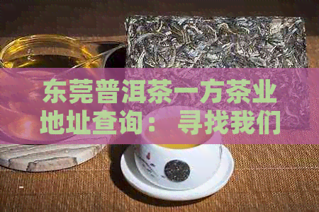 东莞普洱茶一方茶业地址查询： 寻找我们的地理位置