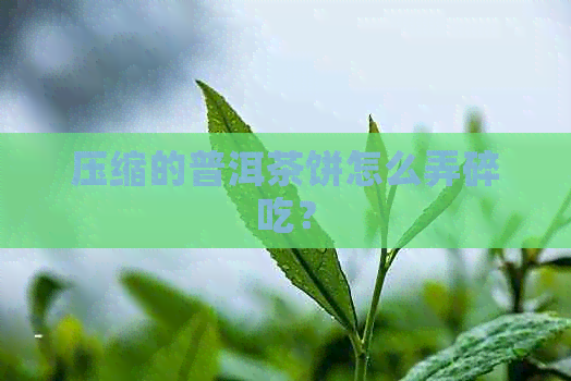 压缩的普洱茶饼怎么弄碎吃？