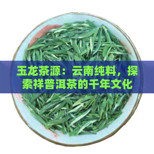 玉龙茶源：云南纯料，探索祥普洱茶的千年文化