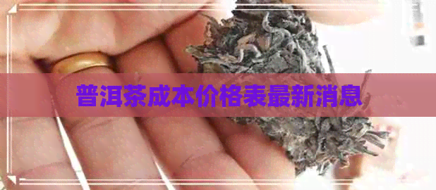 普洱茶成本价格表最新消息