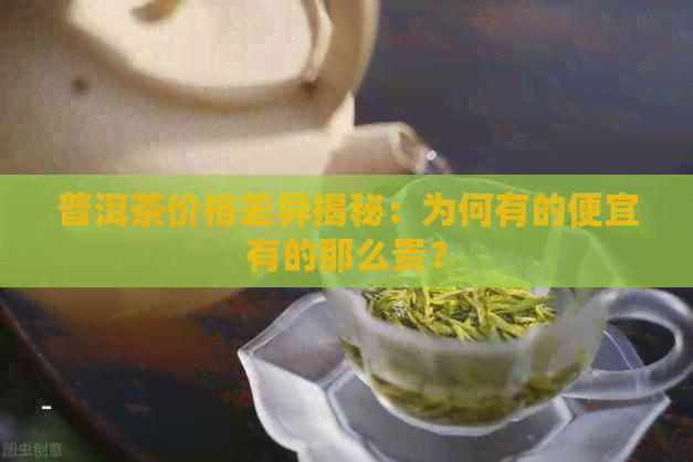 普洱茶价格差异揭秘：为何有的便宜有的那么贵？