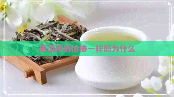 普洱茶的价格一样吗为什么