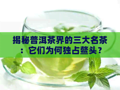 揭秘普洱茶界的三大名茶：它们为何独占鳌头？