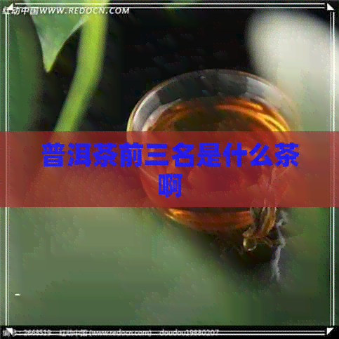 普洱茶前三名是什么茶啊