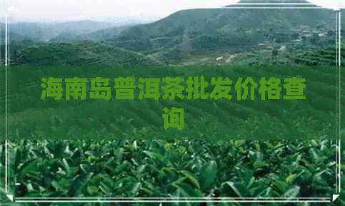 海南岛普洱茶批发价格查询