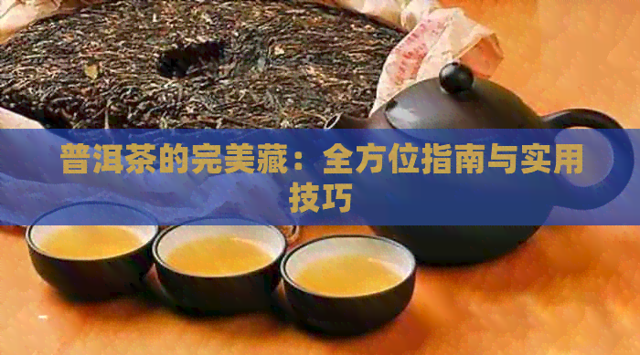 普洱茶的完美藏：全方位指南与实用技巧