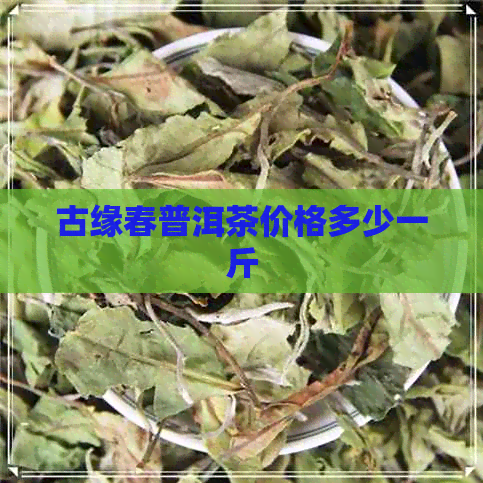 古缘春普洱茶价格多少一斤